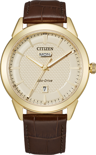 Citizen Rolan Watch